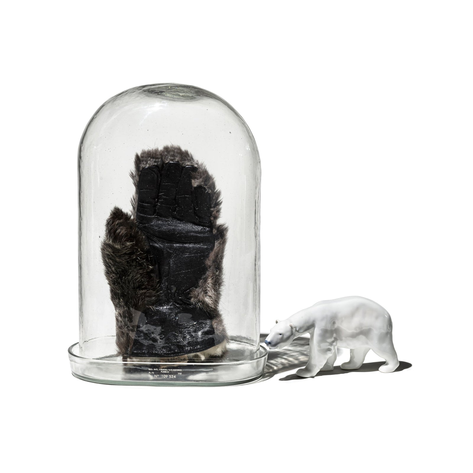 Display Glass Dome – Puebco Canada