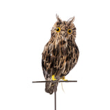 Artificial Bird - Large Brown Owl